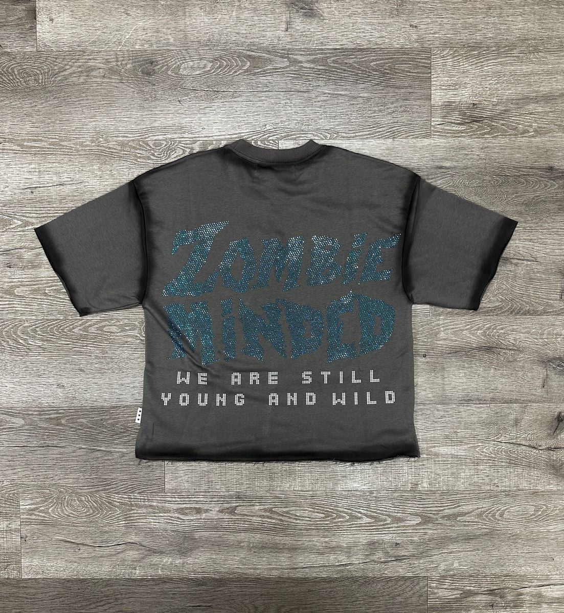 BKYS - Zombie Washed Grey Crop Tee