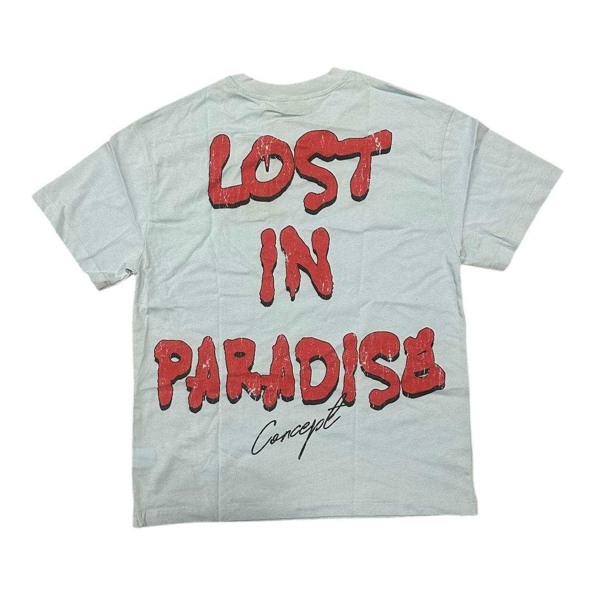 Lost In Paradise - Concept Sky Blue Tee - Designer Graphic Tee