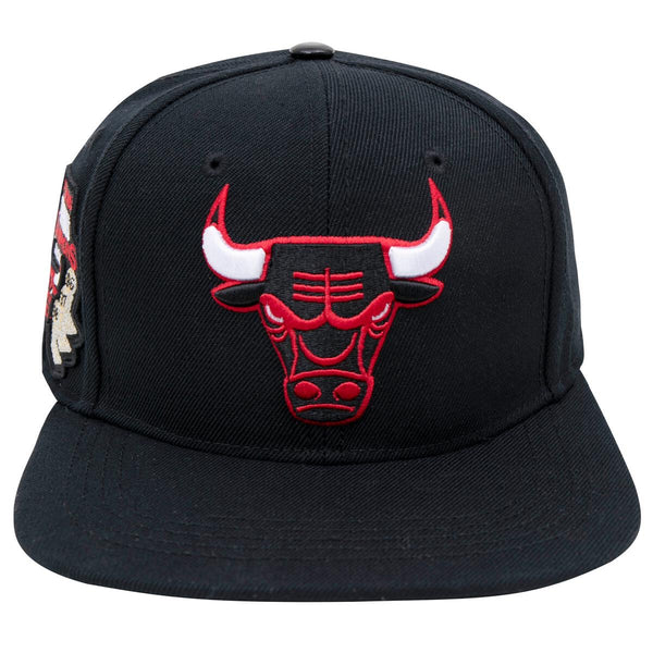 Politics - Chicago Bulls Logo Snapback Hat