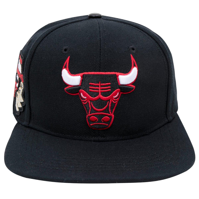 Politics - Chicago Bulls Logo Snapback Hat