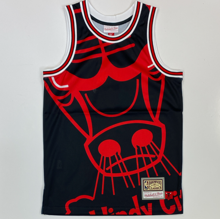 Mitchell & Ness Bulls